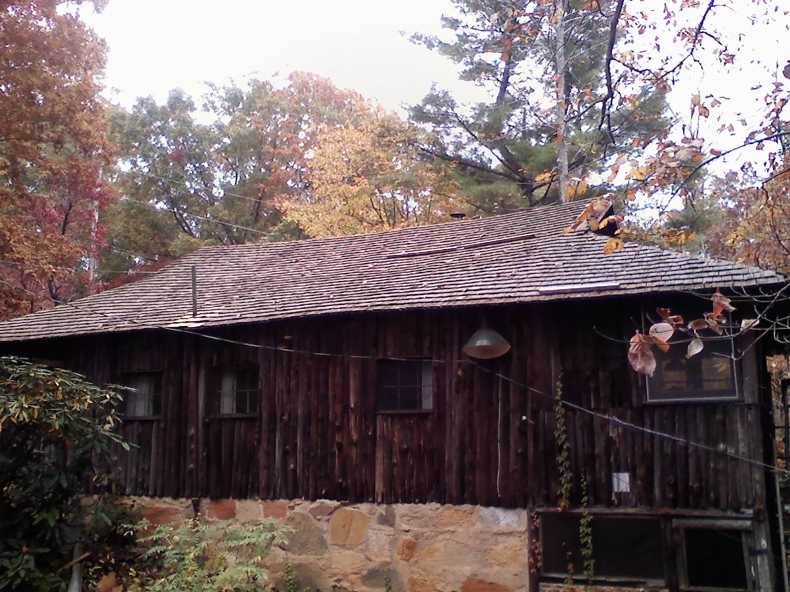 Weathered wood shake roof on a rustic board sided cabin in Danville